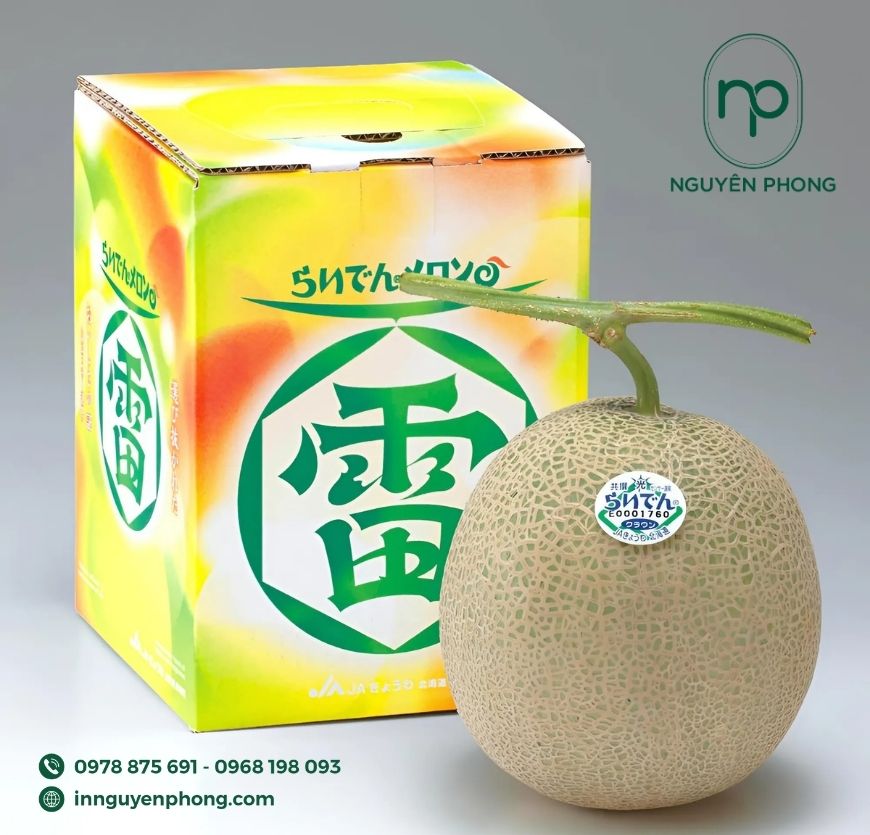 mau-hop-carton-dung-dua-luoi-in-mau-dep